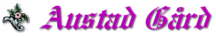 top2.gif (10649 bytes)